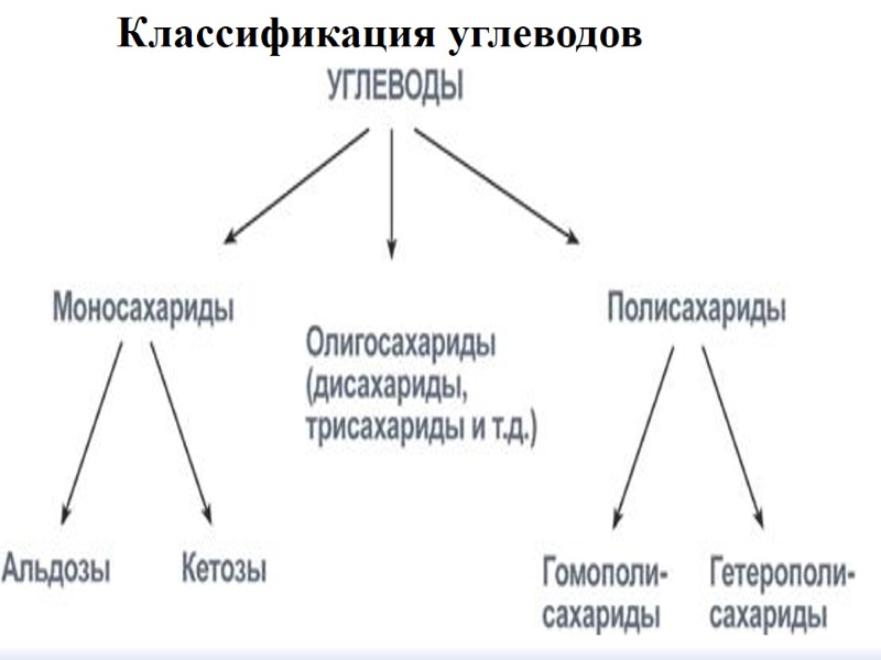 Классификация углеводов